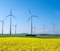 Windenergieanlagen und Rapsfelder vor blauem Himmel.