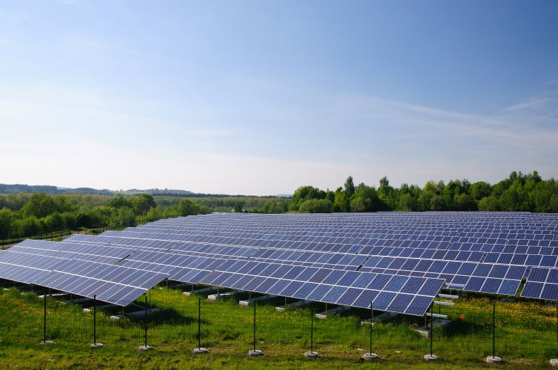 Eine PV-Freiflächenanlagen auf grüner Wiese unter blauem Himmel, im Hintergrund Bäume.