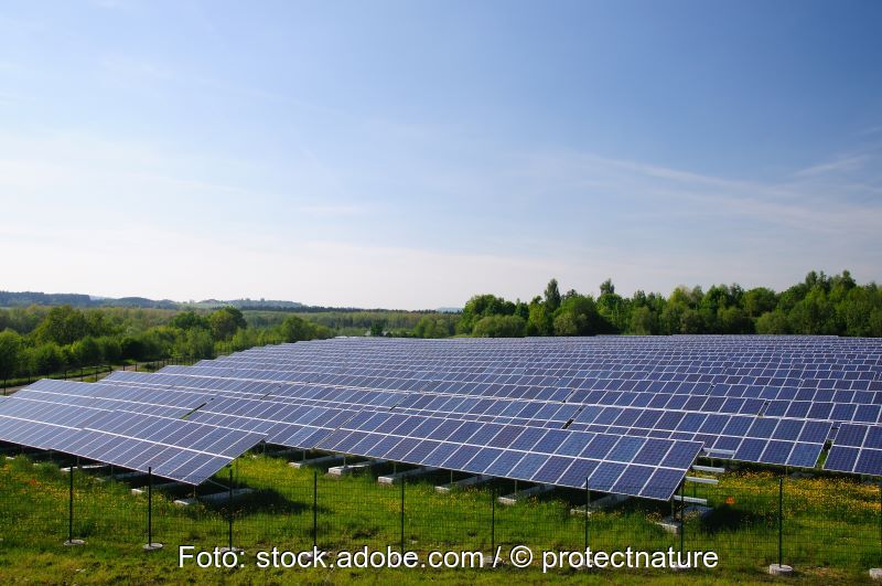 Eien PV-Freiflächenanlagen auf grüner Wiese unter blauem Himmel