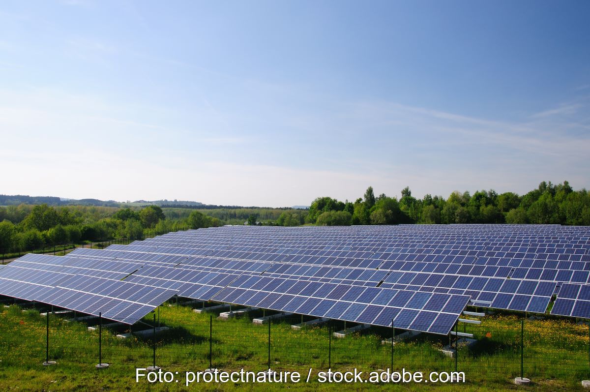 Umzäunte Freiflächensolaranlage auf grüner Wiese.