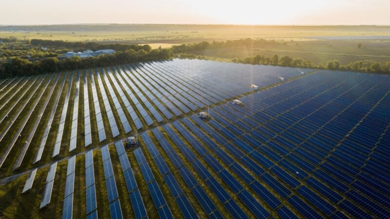 Großer Freiflächen-Solarpark bei tiefstehender Sonne.