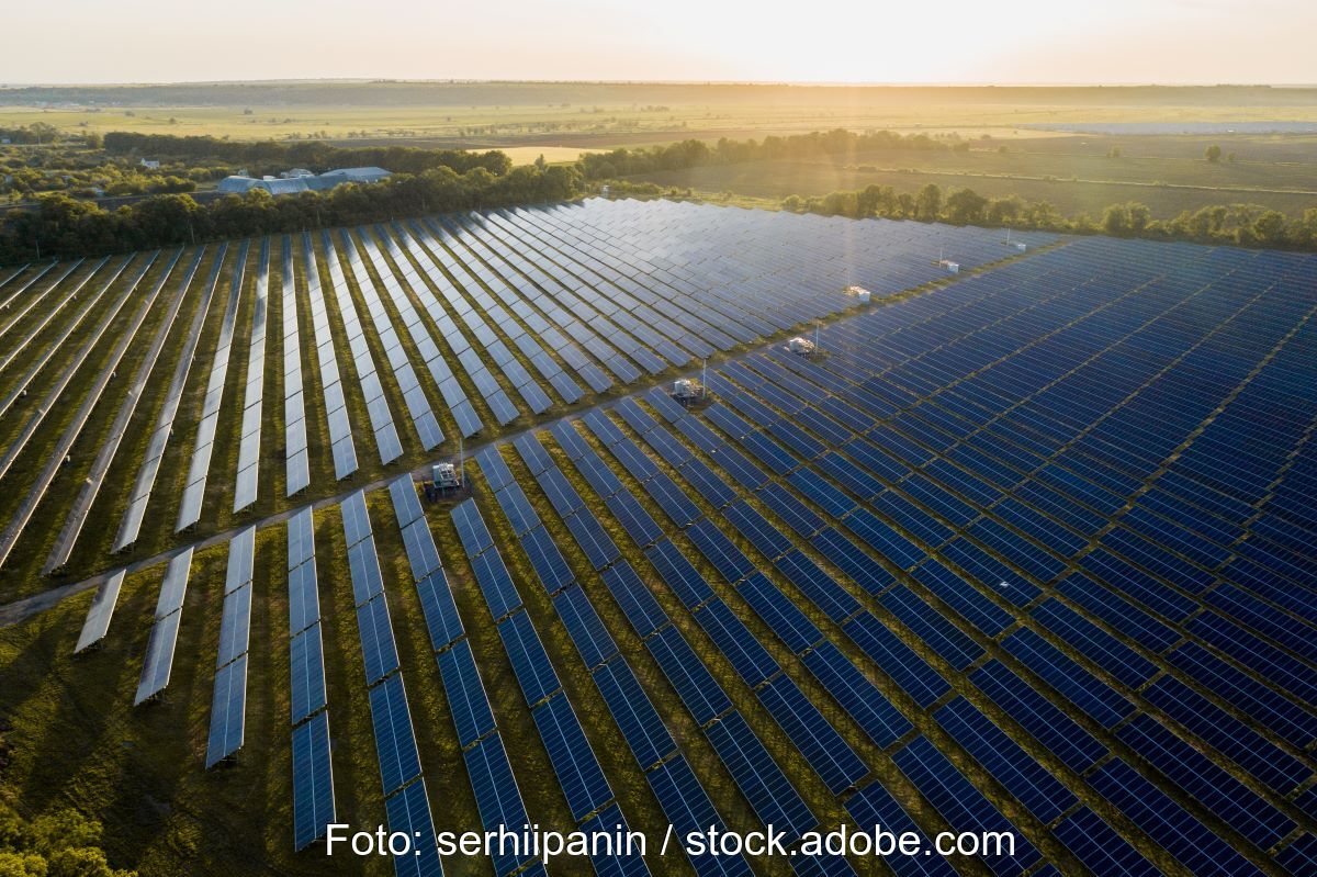 Großer Freiflächensolarpark im Flachland bei tiefstehender Sonne.