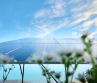 PV-Modukl im Freien gegen blass-blauen Himmel, unscharfe Blumen im Vordergrund.