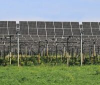 Eine nachgeführte Agri-PV-Anlage, Diveo hat drei Agri-Photovoltaik-Co-Location-Projekte verkauft.