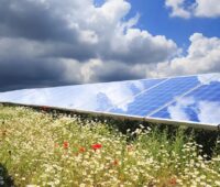 Solarmodule in Blumenwiese, in Köln soll ein innerstädtischer Solarpark in einem Industriegelände entstehen.