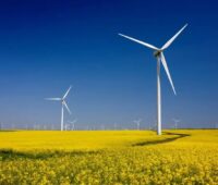 Im Bild ein großer Windpark. Agora Energiewende hat ein Impulspapier zum Windkraft-Ausbau an Land vorgelegt.
