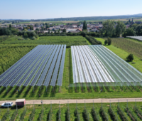 Luftaufnahme von Agri-PV-Anlage über Obstbau-Feld in grüner Landschaft vor blauem Himmel