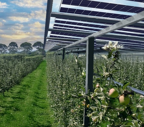 Im Bild der Agri-PV-Bausatz zur Selbstmontage für Landwirte von Gridparity