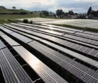 Eine Großanlage für Agri-PV unter Sonneneinstrahlung.