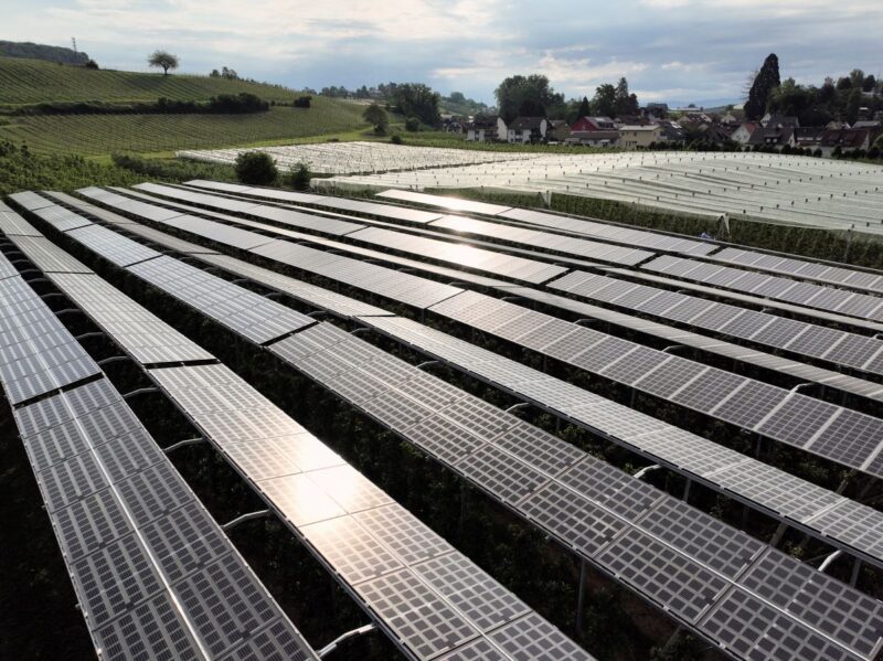 Eine Großanlage für Agri-PV unter Sonneneinstrahlung.