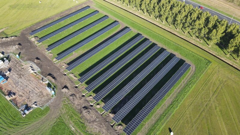 Luftbild einer Agri-PV-Anlage auf einer Wiese.