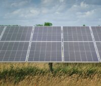 Photovoltaikmodule über einer landwirtschaftlich nutzbaren Fläche aus Gräsern.