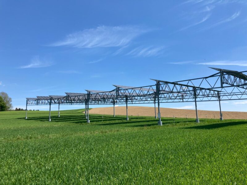 Eine Agri-PV-Anlage über grünem Feld.