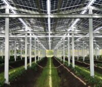 Ein solar bedachtes Gewächshaus lässt Licht für Grünpflanzen durch.