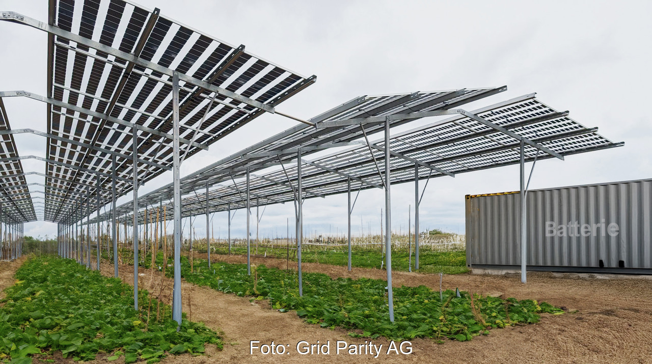 AgriPV: Solarpark mit landwirtschaftlicher Nutzung