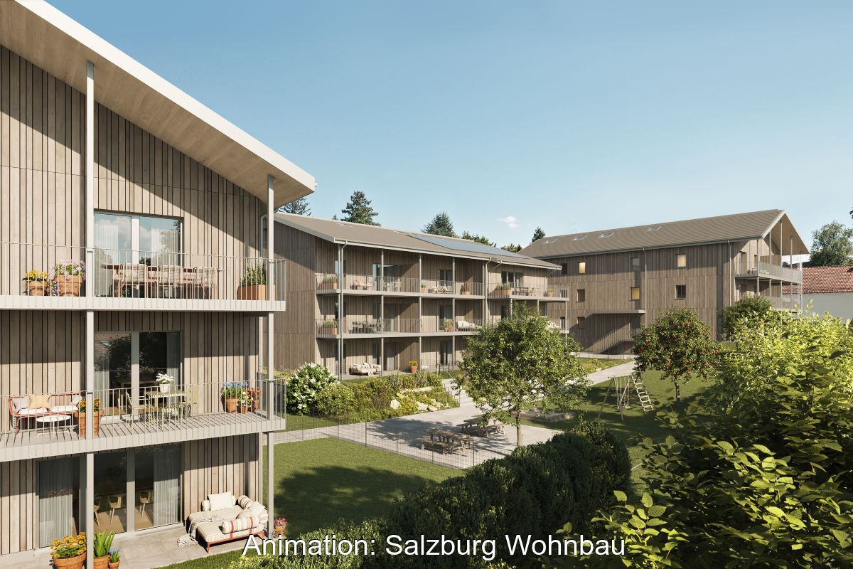Animation zeigt Wohnquartier in Holzbau mit Grünflächen und PV auf den Dächern.