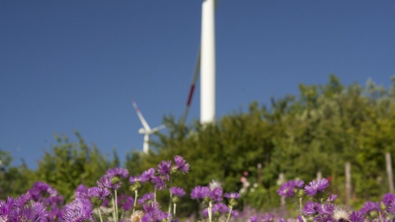 Zu sehen ist Windpark von ERG. Photovoltaik-Großanlagen in Deutschland sollen ein neues Standbein werden.