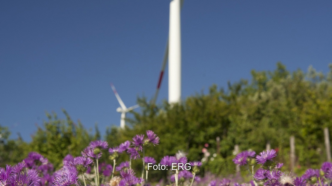Zu sehen ist Windpark von ERG. Photovoltaik-Großanlagen in Deutschland sollen ein neues Standbein werden.