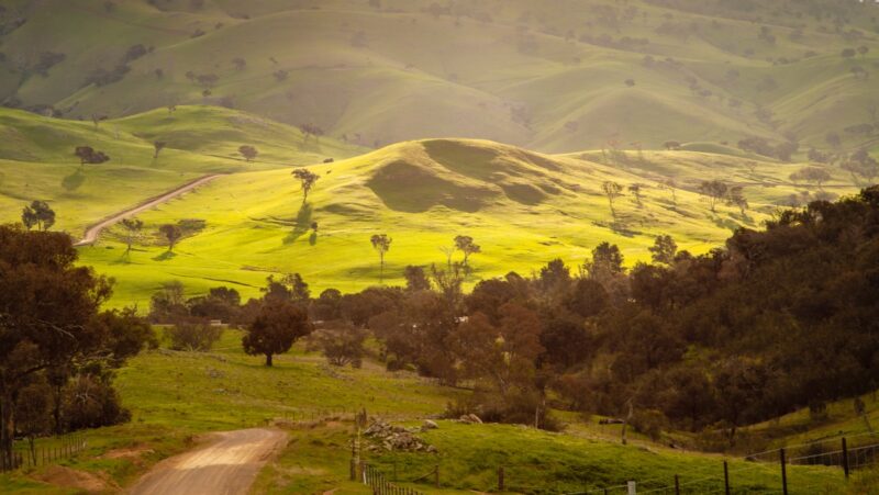 Das Bild zeigt Weideland in New South Wales, Australien