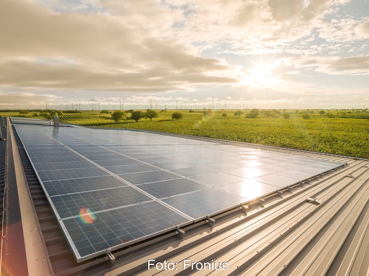 PV-Anlage im Vordergrund, Windpark im Hintergrund vor untergehender Sonne.