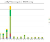 Im Bild ein Balkendiagramm, das die Anträge in der BEG-Förderung beim BAFA für neue Heizungen für April 2022 bis Mai 2023 zeigt.