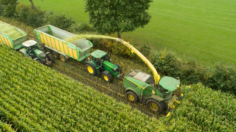 Im Bild zu sehen ist die Maisernte. Mais ist laut Marktdaten Bioethanol 2022 nach Weizen die wichtigste Quelle für Biokraftstoff im Benzin.