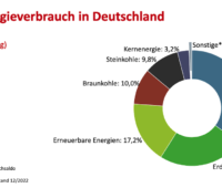 Grafik zeigt Primärenergie-Verbrauch in Deutschland 2022 in einem Kreisdiagramm