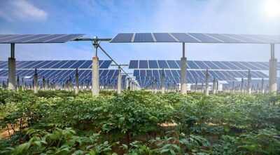 Im Bild eine Agri-PV Anlage, das BDEW-Positionspapier Agri-PV listen Maßnahmen auf, um solche besonderen PV-Anlagen voranzubringen.