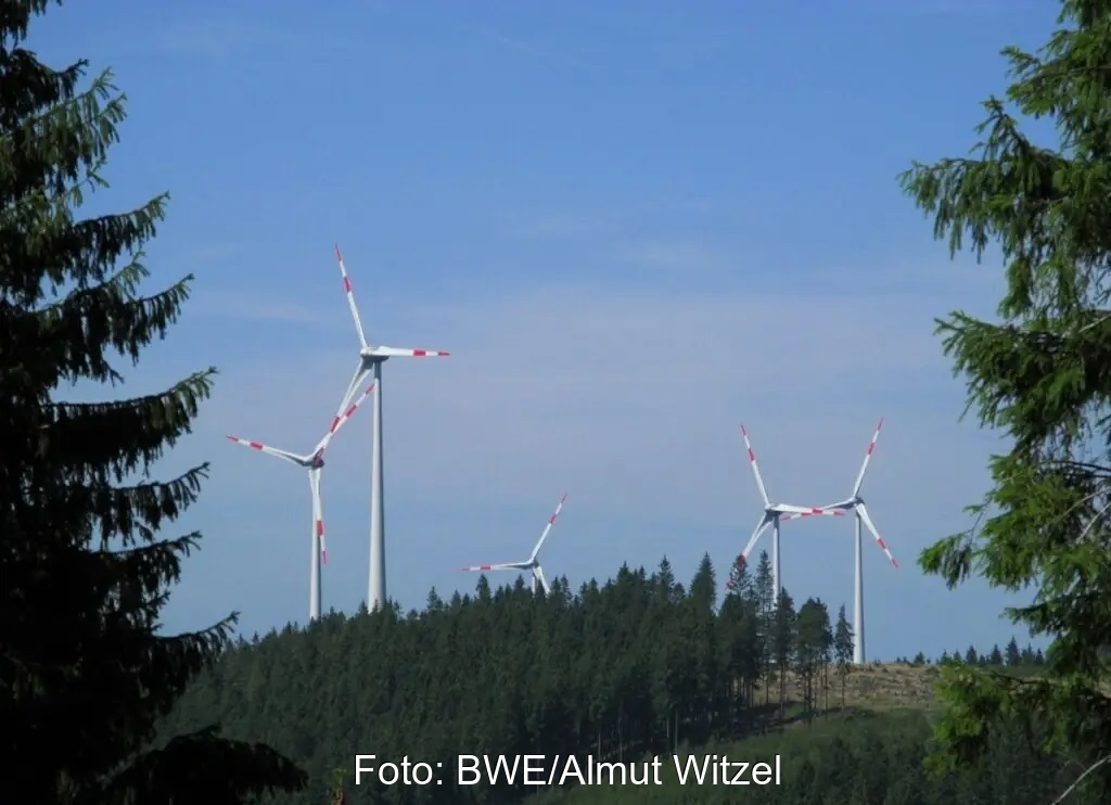 Zu sehen sind Windenergie-Anlagen im Rothaargebirge. Bisher fehlen bundeseinheitliche Regelungen zum Artenschutz bei Windenergie-Genehmigungen.