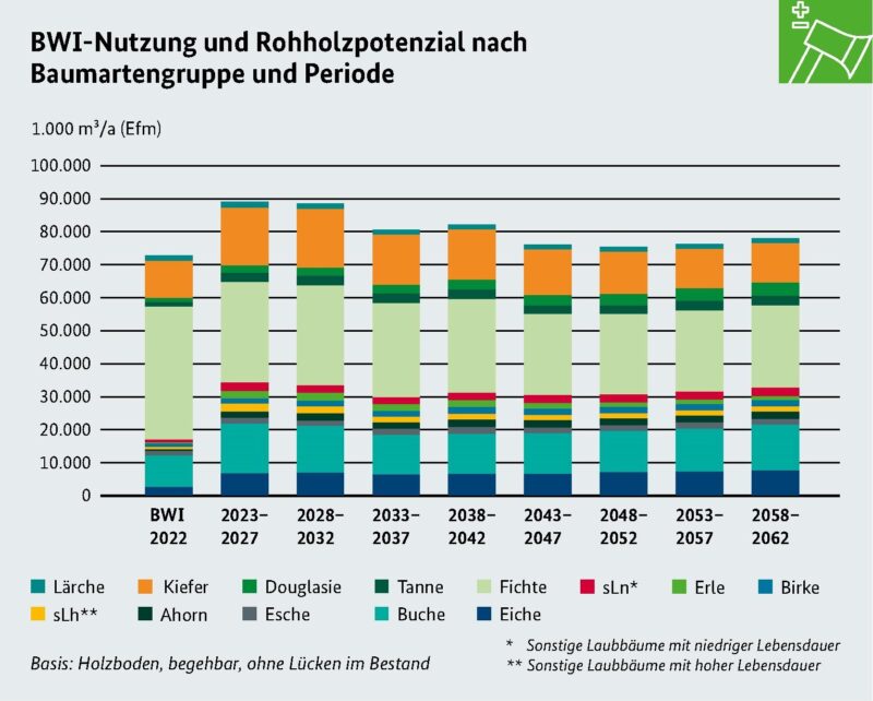 Ein Balkendiagramm aus dem Bericht zur Waldentwicklung zeigt das erwartete Rohholzaufkommen bis zum Jahr 2062.