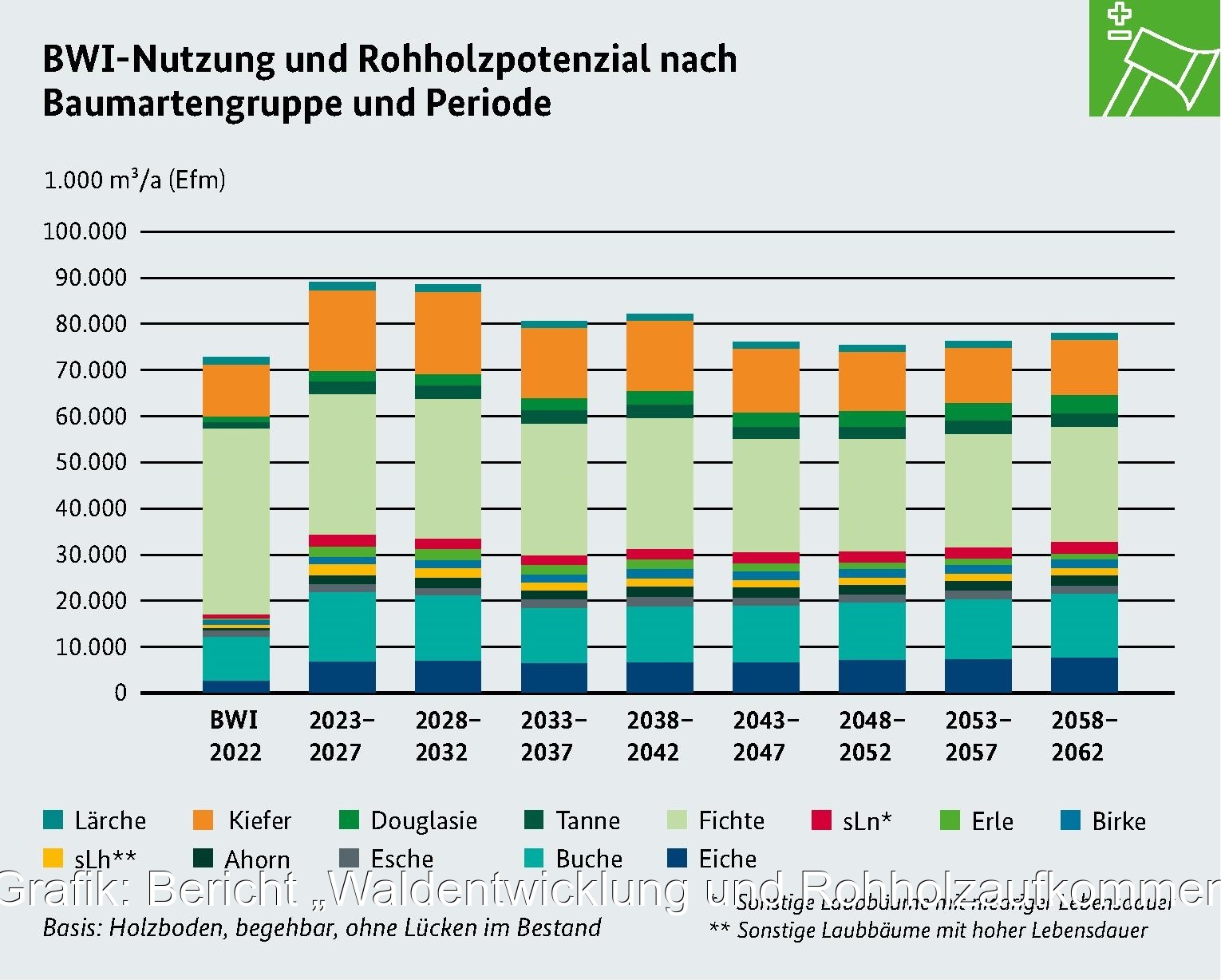Ein Balkendiagramm aus dem Bericht zur Waldentwicklung zeigt das erwartete Rohholzaufkommen bis zum Jahr 2062.