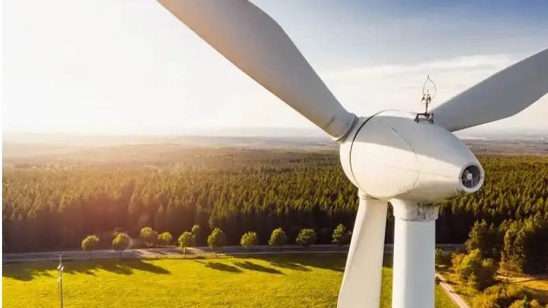 ZU sehen ist eine Windenergieanlage in einer Waldlandschaft. Das Eckpunktepapier für einen schnelleren Windkraft-Ausbau von BMWK und BMUV soll Artenschutz und Energiewende zusammenbringen.