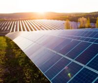 Zu sehen ist ein Photovoltaik-Solarpark. Biodiversitäts-Photovoltaik kann die Artenvielfalt auf Flächen stärken.