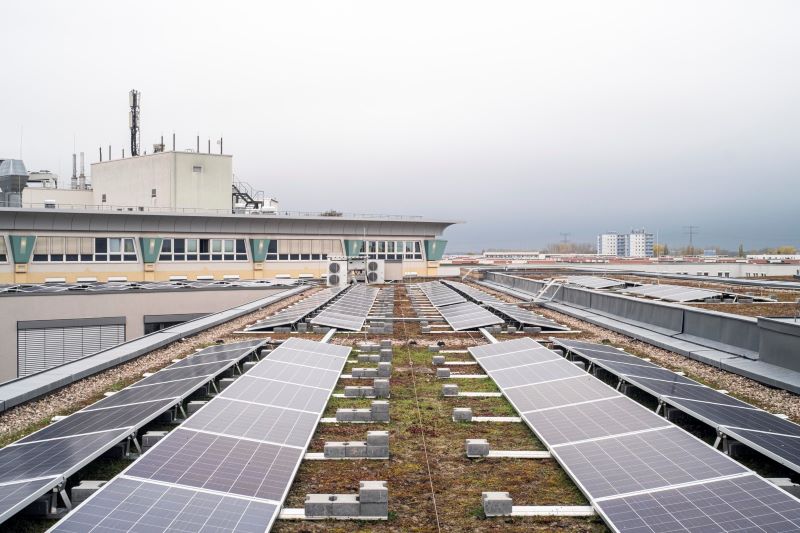 Photovoltaikmodule auf einem begrünten Flachdach in Berlin