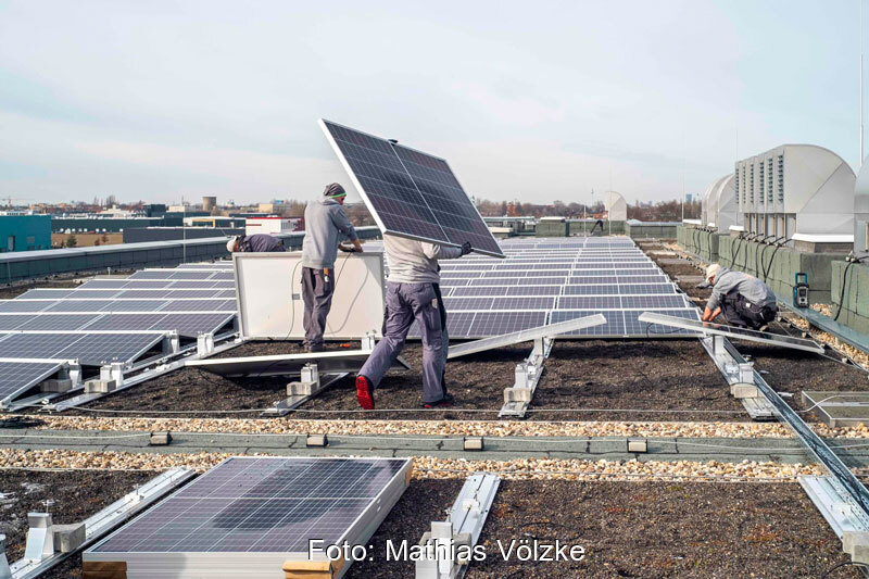 Handwerker bauen PV-Anlage aus einem Gründach