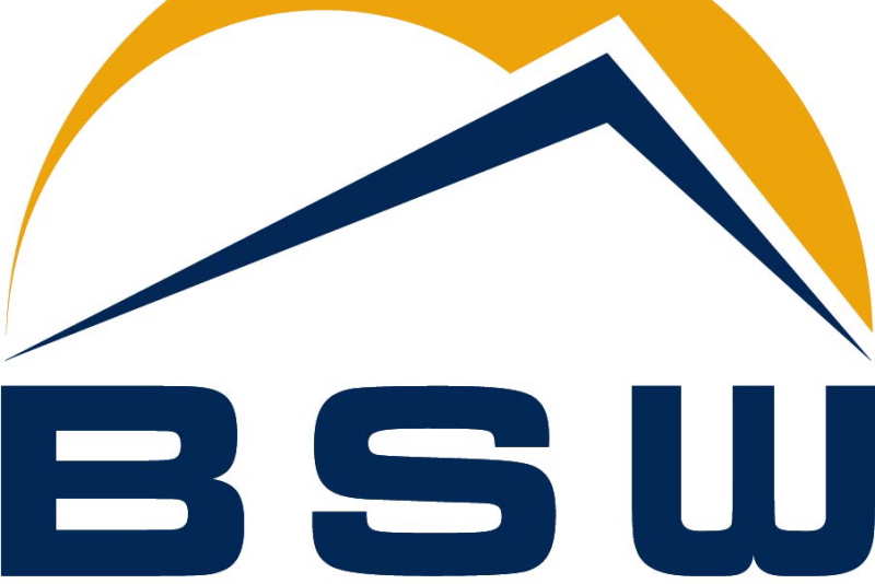 Logo des BSW