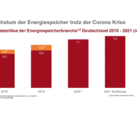 Säulendiagramm zeigt Umsatzwachstum der Speicherbranche