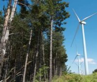 Das Bild zeigt Windenergie-Anlagen am Waldrand, durch die EU-Notfallverordnung ergeben sich Vereinfachungen bei der Umweltverträglichkeitsprüfung für Windenergie.