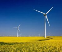 In Bild ein Windpark, die Windenergie-Branche ist mit der Geschäftsentwicklung in 2023 zufrieden.
