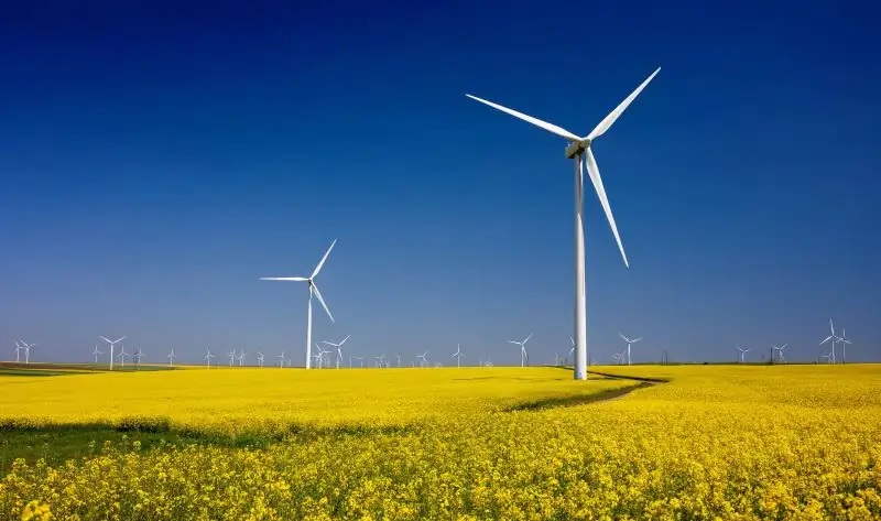 In Bild ein Windpark, die Windenergie-Branche ist mit der Geschäftsentwicklung in 2023 zufrieden.