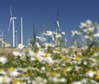 Zu sehen sind Windenergieanlagen in einer Blumenwiese: Das Windenergie-Repowering-Projekt Holßel im Landkreis Cuxhaven.