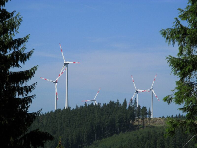 Windenergieanlagen zwischen Fichten auf einer Anhebung im Rothaargebirge.