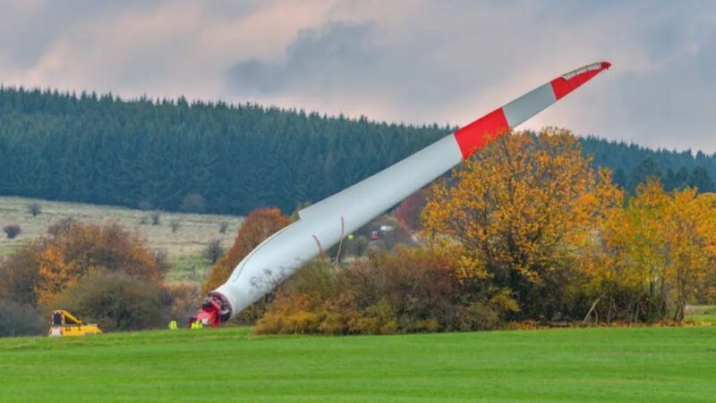 Der Fachbeitrag Artenschutz für die Regionalplanung Windkraft soll die Regionalverbände in Baden-Württemberg bei der Ausweisung von Vorranggebieten für Windenergieanlagen unterstützen.