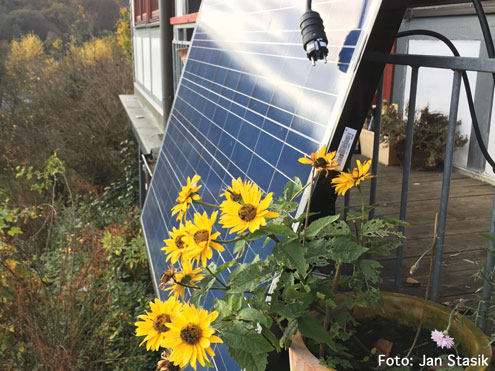 Balkon-Solaranlage hinter gelben Blumen