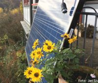 Balkon-Solaranlage hinter gelben Blumen