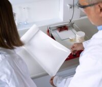 Forschende im Labor mit weißem Materialbogen zur Produktion von Separatoren für Batterien.