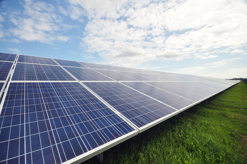 Modulreihe in einem Solarpark