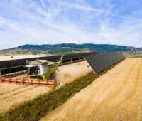 Grafik zeigt Harvester in Getreide-Feld zwischen Reihen von PV-Modulen - Agri-PV.