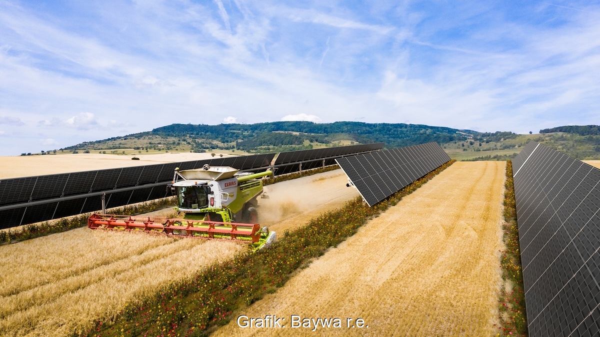 Grafik zeigt Harvester in Getreide-Feld zwischen Reihen von PV-Modulen - Agri-PV.