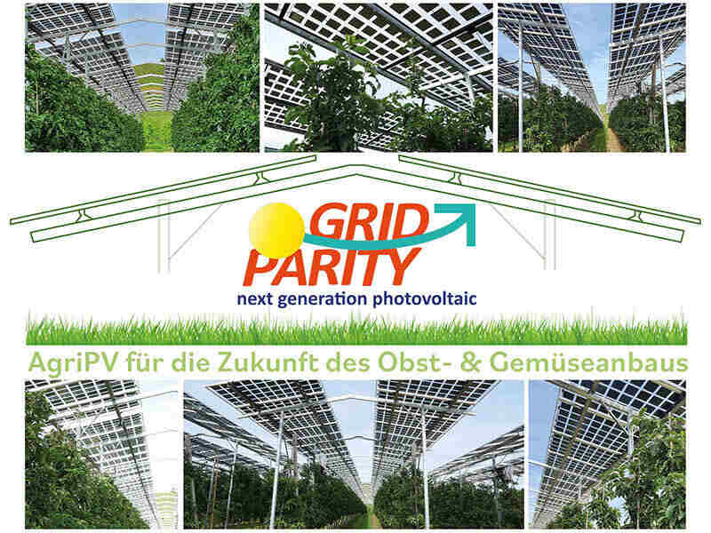 GridParity:AgriPV für die Zukunft des Obst-& Gemüsebaus. Photos von Beispielanlagen